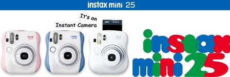mini 25
